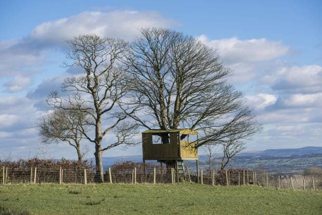 IMAGO Creative, Leben im Bamhaus Baumhaus auf Baum, der in der Hecke neben der Weide wächst, Longridge Fell, Longridge, Lancashire, England, Februar *** Tree house on tree growing in hedge next to pasture, Longridge Fell, Longridge, Lancashire, England, February. Copyright: imageBROKER/JohnxEveson iblhoj05637919.jpg