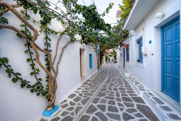 Kleine weiße Gasse mit mit KLetterpflanzen bewachsenen Häusern, Parikia, Paros, Kykladen, Ägäis, Griechenland, Europa Copyright: imageBROKER/MaraxBrandl ibxmab06704853.jpg