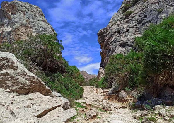 Creative Highlights World Mallorca - Wanderung zur Penya Rotja auf La Victoria 13.05.2021,Die Halbinsel La Victoria an der Nordkueste von Mallorca ist Ideal zum Wandern und bietet spektakulaere Aussichten. *** Mallorca Hike to the Penya Rotja on La Victoria 13 05 2021,The peninsula La Victoria on the north coast of Mallorca is ideal for hiking and offers spectacular views. Copyright: xLakomski Eibner-Pressefotox EP_dli