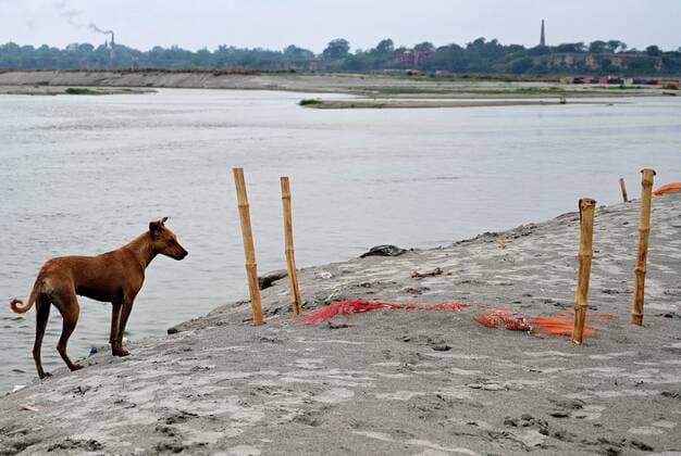 May 19, 2021, Prayagraj, Uttar Pradesh, India: Hellfire seen near Shallow graves covered with saffron clothes of suspected Covid-19 coronavirus victims near a cremation ground on the banks of the Ganges River in Shringverpur village, around 40 Km from Allahabad on Wednesday, May 19, 2021. Prayagraj India - ZUMAv115 20210519_zap_v115_014 Copyright: xPrabhatxKumarxVermax