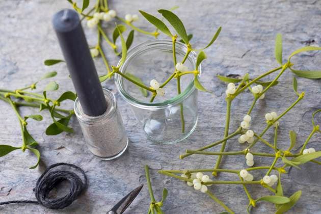 Kerze mit Mistelzweigen als Tischdekoration candle with mistletoe as a table decoration BLWS644100 *** Candle with mistletoe as a table decoration BLWS644100 Copyright: xblickwinkel F.xHeckerx