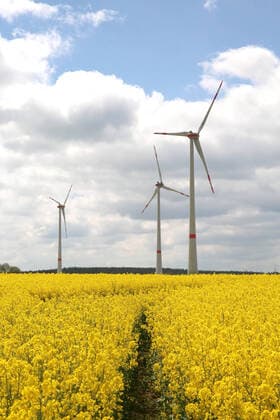 Blick am Donnerstag (20.05.2021) unweit von Poggendorf (Landkreis Vorpommern Rügen) auf Windräder in einem Rapsfeld. Die erneuerbaren Energien werden in den kommenden Jahren eine immer größere Rolle spielen. Damit verbunden wird auch die Anzahl der Windräder weiter zunehmen. Doch die Speicherung der Energie stellt die Netzbetreiber nach wie vor noch immer vor große Herausforderungen.