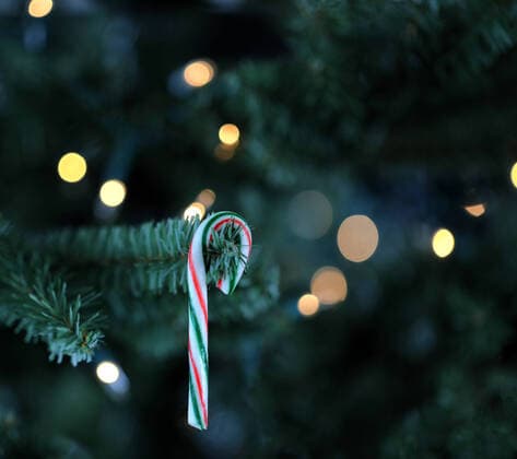 Traditional artificial Christmas tree with candy cane and white lights glowing in background Copyright: xTomxBakerx 28903594