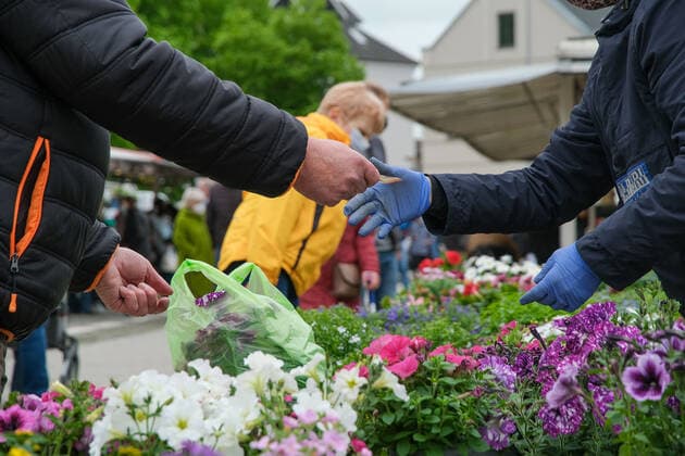 Traditioneller Wochenmarkt in Heide 29.05.2021Auf dem traditionellen Wochenmarkt auf dem Marktplatz in Heide in Schleswig-Holstein kann man das ganze Jahr über einkaufen. Produzenten aus der Region bieten hier im samstags ihre Erzeugnisse an. Verkauft werden vor allem Fisch, Fleisch, Käse, Backwaren, Eier, Obst und Gemüse sowie Blumen, landwirtschaftliche Artikel und Waren des täglichen Bedarfs. Zurzeit gilt hier und in der Innenstadt die Maskenpflicht. Heide Marktplatz Schleswig-Holstein Deutschland
