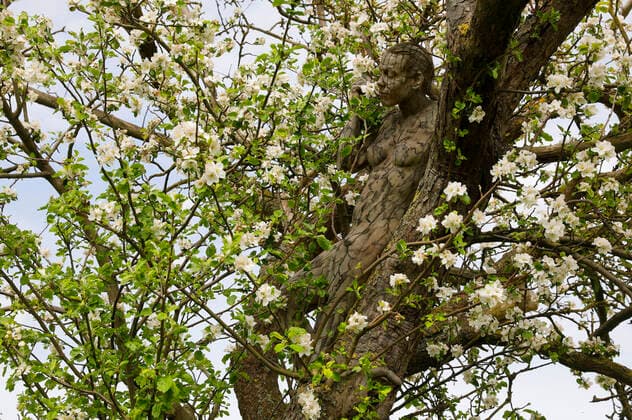 Nature Art: Apfelbaum Photoshooting und Bodypainting mit Model Darky an einem Rapsfeld. Dehmke, 30.05.2021 - Bodypainting Künstler: Jörg Düsterwald