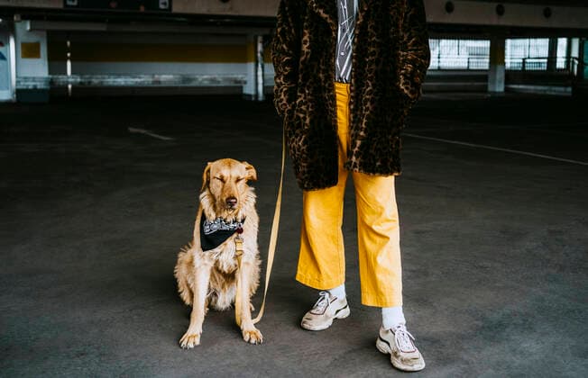 IMAGO Creative: Clickbait, Modetrends Low section of young man with dog standing in parking garage Berlin, Germany, model released Copyright: xMaskotx , MA86595