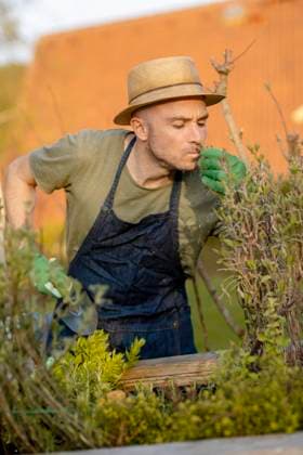 IMAGO Creative: Garten, Anbau im Hochbeet Gärtner *** Gardener Copyright: imageBROKER/MichaelaxBegsteiger ibxbeg06741400.jpg