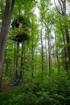 IMAGO Creative, Leben im Bamhaus Hambacher Forst RWE brown coal district inhabited tree houses of the nature Conservation activists in the Hambach Forest Merzenich Morschenich Nordrhein Westfalen Germany