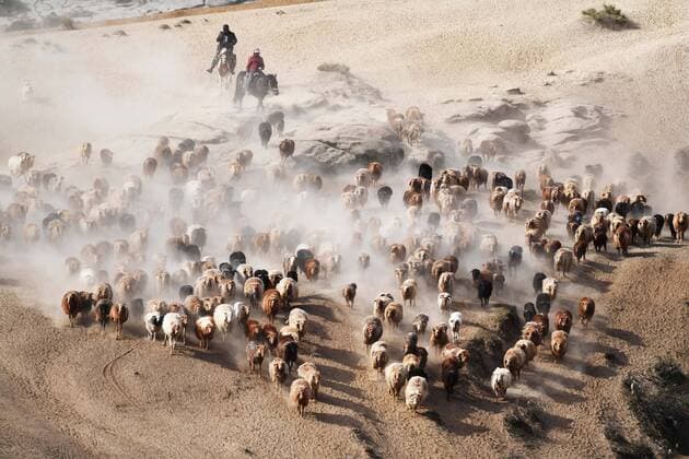 Bilder des Jahres 2021, News 06 Juni News Themen der Woche KW22 News Bilder des Tages (210605) -- ALTAY, June 5, 2021 -- Ethnic Kazakh herdsmen move their livestock to summer pastures in Fuhai County of Altay, northwest China s Xinjiang Uygur Autonomous Region, June 5, 2021. ) CHINA-XINJIANG-ALTAY-SUMMER PASTURE (CN) Sadat 