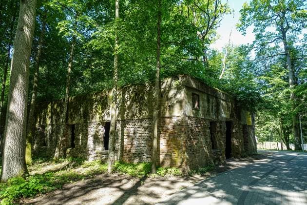 Bank Holiday In Poland People visiting the WWII era Adolf Hitler s quarters hidden in a forest near Gierloz, Poland, are seen on 3 June 2021 r Wolf s Lair (ger. Wolfsschanze) ruins of Adolf Hilter s war headquarters was a hidden town in the woods consisting of 200 buildings: shelters, barracks, 2 airports, a power station, a railway station, air-conditioners, water supplies, heat-generating plants and two teleprinters Gierloz Poland fludra-bankholi210603_npdAy  Copyright: xMichalxFludrax