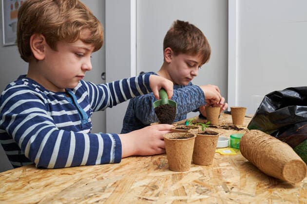 IMAGO Kreativ: Bruderschaft Siblings planting seedling in cardboard cup with ground at table with gardening shovel, Model released Copyright: xRamonxLopezx MR