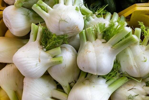  Fresh fennel bulbs at a farmers market in Italy, 28.02.2020 11:26:14, Copyright: xwjarekx Panthermedia28166579