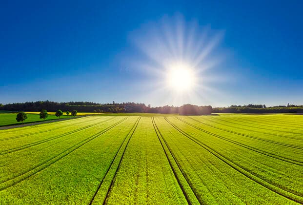 Weizenfeld im Frühsommer bei Hofstetten, Bayern, Deutschland, Europa Weizenfeld im Frühsommer, Bayern, Deutschland *** Wheat field in early summer near Hofstetten, Bavaria, Germany, Europe Wheat field in early summer, Bavaria, Germany