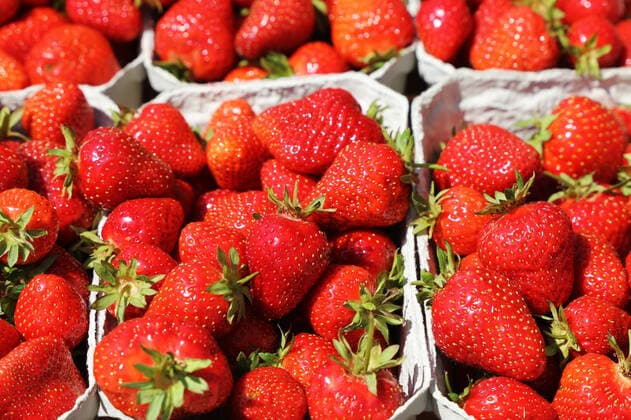 Frische Erdbeeren aus Deutschland auf dem Markt in Mutterstadt, Rheinland-Pfalz *** Fresh strawberries from Germany at the market in Mutterstadt, Rhineland-Palatinate Copyright: xx