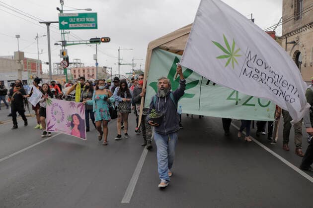 Marijuana Users March For Legalisation In Mexico Members of the Mexican Cannabis Movement and Planton 420, marched on Eje Central in Mexico City to demand the Supreme Court of Justice of the Nation, the fair regularisation and use of marijuana, its various types of cultivation; from self-cultivation for personal consumption, solidarity cultivation, respect for free development, freedom of association and non-criminalisation. Mexico City Mexico vieyra-notitle210614_npLOA  Copyright: xGerardoxVieyrax