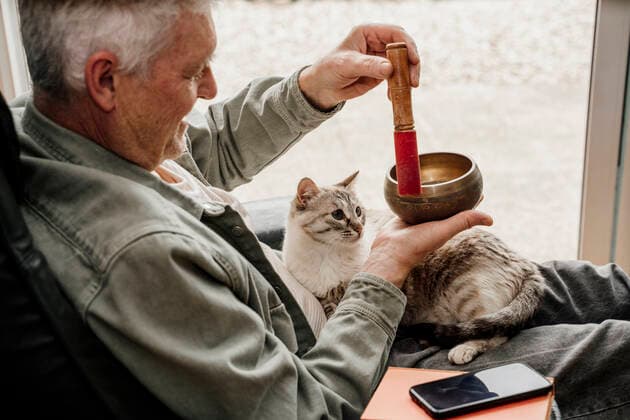 Cat looking at man playing holding Tibetan bowl at home model released Symbolfoto property released AFVF08769