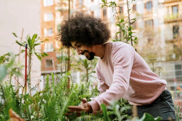 Smiling man touching leaves of plants in garden model released Symbolfoto property released AFVF08578