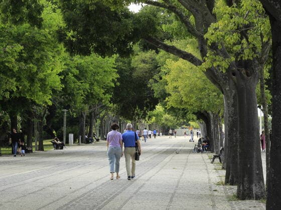 June 20, 2021, Lisbon, Portugal: Movement in Parque Eduardo VII, one of largest in central Lisbon, commonly known as Parque Eduardo VII, named in 1903 in honor of Eduardo VII from United Kingdom, who had visited Lisbon previous year to reaffirm alliance between two countries.  Copyright: xEdsonxdexSouzax