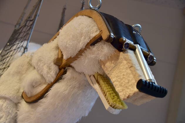 Eröffnung ANOHA im Jüdischen Museum Berlin Der Kopf des Eisbäres aus vielen Gebrauchtsgegenständen PK zur Eröffnung der Kinderwelt ANOHA im Jüdischen Museum in Berlin am 23.06.2021 *** Opening ANOHA at the Jewish Museum Berlin The head of the polar bear made of many used objects PK for the opening of the childrens world ANOHA at the Jewish Museum in Berlin on 23 06 2021 Photopress Mueller