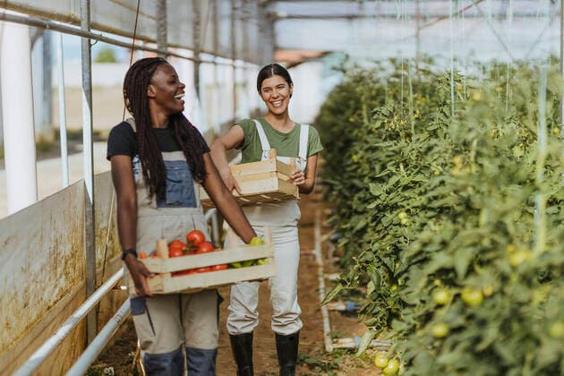 Smiling female farmers holding vegetable crates while standing at organic farm model released Symbolfoto property released OIPF01037