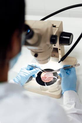 Mature female scientist using tweezers while analyzing medical samples through microscope in lab model released Symbolfoto property released PGF00588