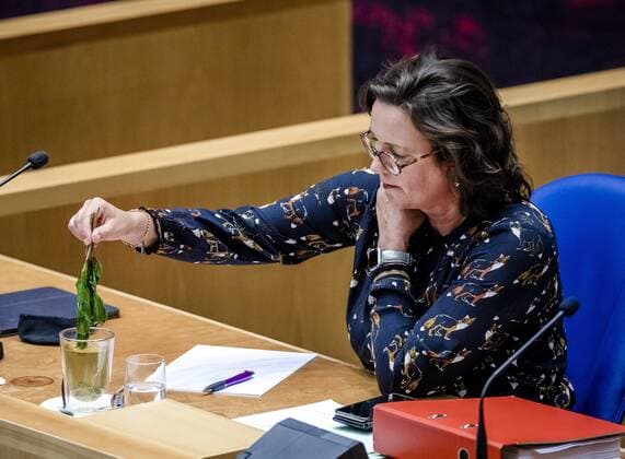 THE HAGUE - Tamara van Ark, outgoing minister for Medical Care, in the House of Representatives during a debate about the developments surrounding the corona virus. REMKO DE WAAL W Copyright: xHollandsexHoogtex xxANPx x432981710x