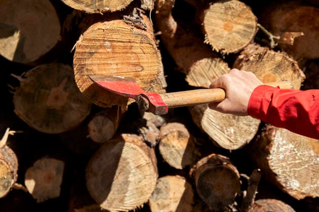 Man cutting tree trunks with axe on sunny day model released Symbolfoto VEGF04597