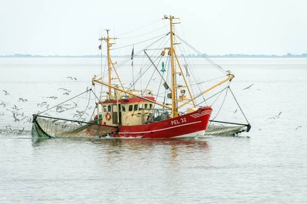IMAGO Creative, Unsere Erde, Umweltverträgliche Herausforderungen des 21. Jahrhunderts, Überfischung Krabbenkutter im Wattenmeer, Deutschland, Schleswig-Holstein, Pellworm shrimper at the wadden sea, Germany, Schleswig-Holstein, Pellworm BLWS645672 *** Shrimper at the wadden sea, Germany, Schleswig Holstein, Pellworm BLWS645672 Copyright: xblickwinkel McPHOTO W.xRolfesx