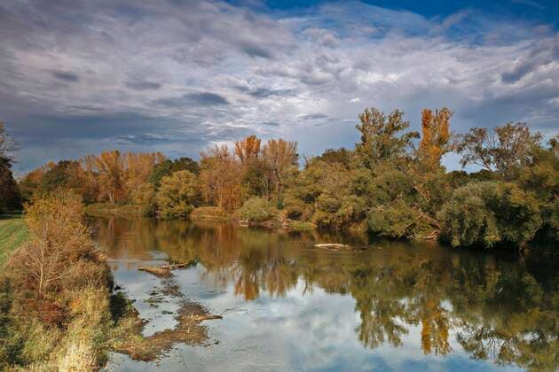  Herbststimmung an der Mulde bei Dessau-Roßlau, Biosphärenreservat Mittlere Elbe, LK Wittenberg, Sachsen-Anhalt, Deutschland, Europa Copyright: imageBROKER/VolkerxLautenbach iblmmv06957628.jpg