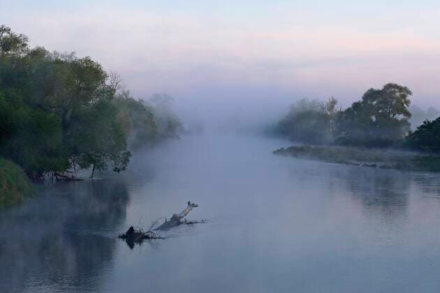  Morgenstimmung an der Mulde im Frühling, Biosphärenreservat Mittlere Elbe, LK Wittenberg, Sachsen-Anhalt, Deutschland, Europa Copyright: imageBROKER/VolkerxLautenbach iblmmv06957638.jpg