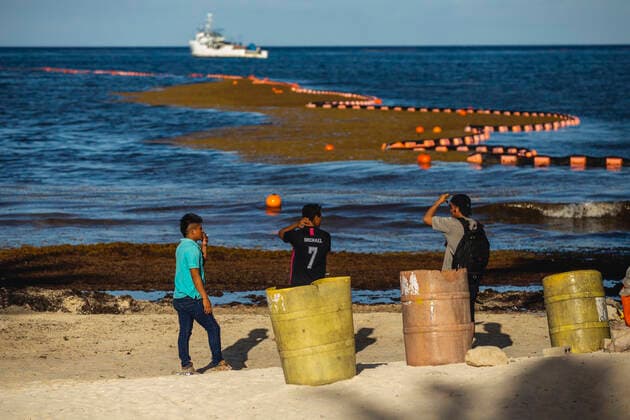 Sargassum Contaminates the Beaches of the Mexican Caribbean PLAYA DEL CARMEN, MEXICO - JULY 4: General view of sargassum accumulated in the tourist area of the Fundadores Park beach in Playa del Carmen. The arrival of sargassum that has contaminated the coasts of the Mexican Caribbean has caused great losses for the tourism industry in the state of Quintana Roo. On July 4, 2021 in Playa Del Carmen, Mexico. Copyright: xNataliaxPescadorx EYEPIXGROUP_NP_04072021_9976