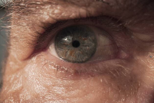 Creative Highlights Symbolbilder Macro view of brown eye of anonymous person lit by sunlight looking at camera Copyright: xJairoxDiazx Model Released