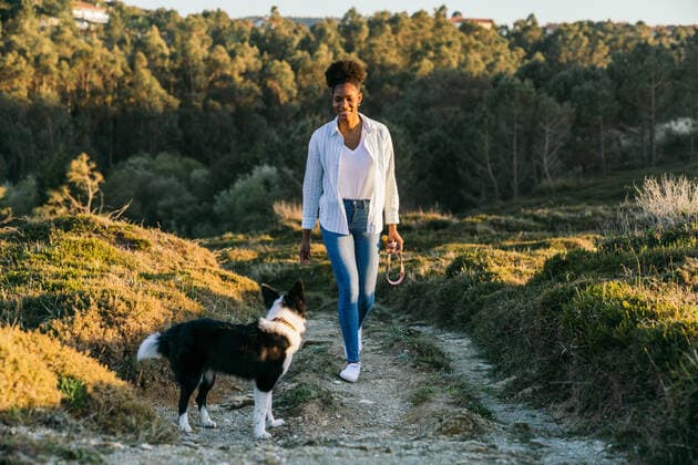 Full body of happy ethnic woman with Border Collie dog walking together on trail among grassy hills in sunny spring evening, Model released Copyright: xLuisxManuelxMunozx MR