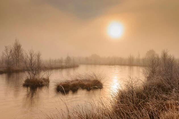 Creative Highlights World Sonnenaufgang im Goldenstedter Moor, Deutschland, Niedersachsen, Goldenstedt mire Goldenstedter Moor at sunrise, Germany, Lower Saxony, Goldenstedt BLWS646212 *** Sunrise in Goldenstedter Moor, Germany, Lower Saxony, Goldenstedt mire Goldenstedter Moor at sunrise, Germany, Lower Saxony, Goldenstedt BLWS646212 Copyright: xblickwinkel McPHOTO W.xRolfesx