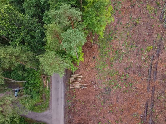 Mass Deforestation Continues In Poland Aerail view of the mass forest clearance place is seen in Otomin, Poland on 8 July 2021 Environmentalists are alarming that the Polish State Forests, a company 100% dependent on the government, is cutting forests en masse to raise money for social programs of the populist government. Otomin Poland fludra-massdefo210708_np7sv  Copyright: xMichalxFludrax