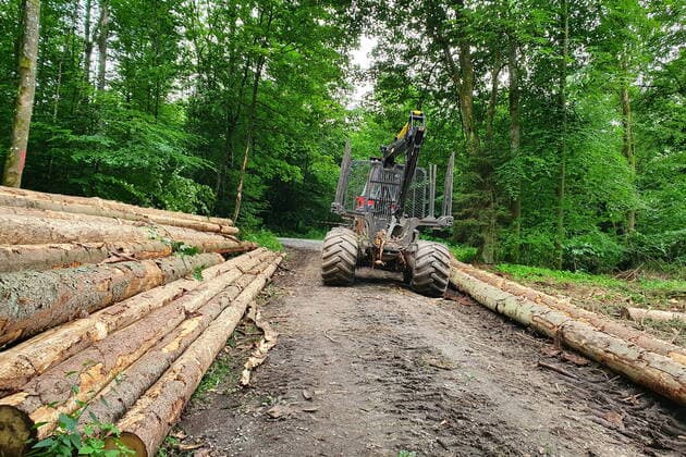 Rückeroth Themenfoto: Natur, Wald, Forstwirtschaft, Holz, 12.07.2021 Abholzung große Fichtenbestände im Westerwald bei Selters,Themenfoto: Natur, Wald, Forstwirtschaft, Holz - *** Rückeroth theme photo nature, forest, forestry, wood, 12 07 2021 Deforestation of large spruce stands in the Westerwald near Selters,theme photo nature, forest, forestry, wood Copyright: xAugstx xEibner-Pressefotox EP_jat