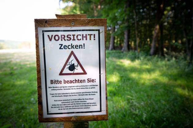 Vorsicht Zecken Informationstafel mit Verhaltensempfehlungen nach dem Aufenthalt in einem Zeckengebiet, Zeckenbefall, Zeckenwarnung, Borreliose *** Caution ticks Information board with recommendations for behaviour after a stay in a tick area, tick infestation, tick warning, Lyme disease 1083402058