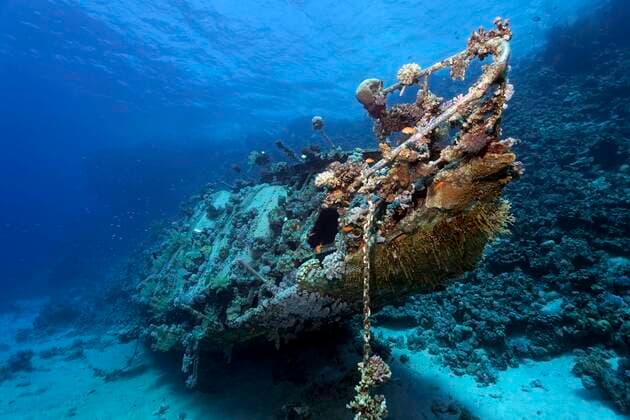  Mit Korallen (Anthozoa) und Niederen Tieren (Evertebrata) bewachsenes Wrack, Schiffswrack, Segelschiff, Rotes Meer, Abu Galawa, Fury Shoals, Ägypten, Afrika *** Wreck covered with corals Anthozoa and invertebrates Evertebrata, shipwreck, sailing ship, Red Sea, Abu Galawa, Fury Shoals, Egypt, Africa Copyright: imageBROKER/NorbertxProbst ibxnpr06969132.jpg
