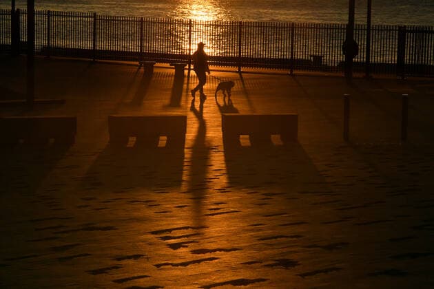 NSW CORONAVIRUS COVID19, A man walks his dog at dawn at Circular Quay in Sydney, Monday, July 19, 2021. The stay-at-home orders for coronavirus-hit Greater Sydney and surrounds have been tightened with non-essential retail to close and all construction paused until July 30. ( NO ARCHIVING, EDITORIAL USE ONLY, NO USE IN BOOKS WITHOUT CONSENT SYDNEY NSW AUSTRALIA  Copyright: xMICKxTSIKASx 20210719001558378256
