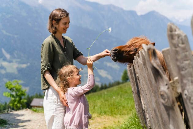 IMAGO Creative: Klimawandel - Umwelterziehung Mother and daughter feeding pony while standing by fence on sunny day model released Symbolfoto DIGF16096