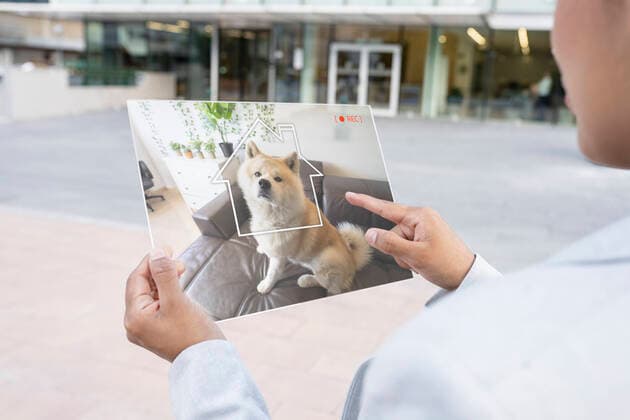 Businesswoman watching dog though futuristic smart home tablet model released Symbolfoto property released JCCMF03079