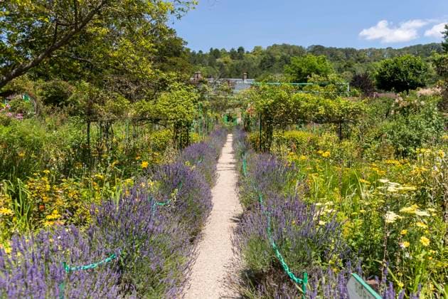 Giverny, France July 19, 2021 - Gardens under the sun at the Claude Monet Foundation dedicated to the famous French painter, one of the founders of the impressionist movement. The cultural site reopened on May 19. Entrance is only possible with an online ticket reservation and the health pass is mandatory. FONDATION CLAUDE MONET, ART, PEINTURE, ARTISTE PEINTRE, ILLUSTRATION, MUSEE, PASS SANITAIRE, AMBIANCE, ATMOSPHERE, TOURISME, VISITE, HISTOIRE, SITE HISTORIQUE, LIEUX CULTURELS, CULTURE, MOUVEMENT DES IMPRESSIONNISTES, IMPRESSIONNISME, NORMANDIE, VACANCES, FREQUENTATION TOURISTIQUE, MONUMENTS HISTORIQUES,  Copyright: xVincentxIsorex