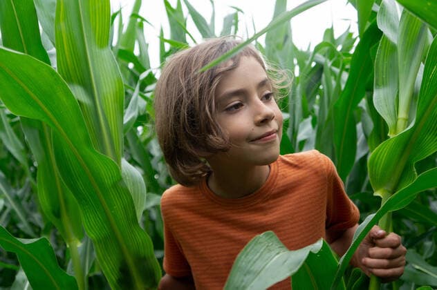 IMAGO Creative: NGO, Ausbildung für Kinder IMAGO Creative: Klimawandel - Umwelterziehung smiling boy curiously peer over the tall green cornplants CR_HABU210727-800180-01 ,model released, Symbolfoto