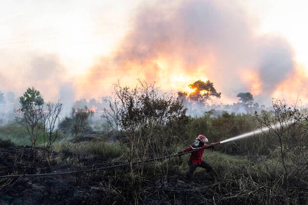 IMAGO Nature: Unsere Erde, Ressourcen, Torf Peat Fires In Ogan Ilir, SouPeat Fires In Ogan Ilir, South Sumatra Peatland fires occurred on Wednesday, July 28, 2021 in Sungai Rambutan village, Ogan Ilir Regency, South Sumatra. This peatland burned at 4.00 pm Ogan Ilir Regency Indonesia prasetya-notitle210728_npyr9  Copyright: xSigitxPrasetyax