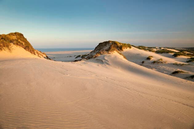 Duenen im Abendlicht mit Blick auf den Kniepsand und das Meer, Deutschland, Schleswig-Holstein, Nordfriesland, Amrum dunes in the evening light with a view of the Kniepsand and the North Sea, Germany, Schleswig-Holstein, Northern Frisia, Amrum BLWS648397 *** Dunes in the evening light with a view of the Kniepsand and the North Sea, Germany, Schleswig Holstein, Northern Frisia, Amrum BLWS648397 Copyright: xblickwinkel S.xZiesex