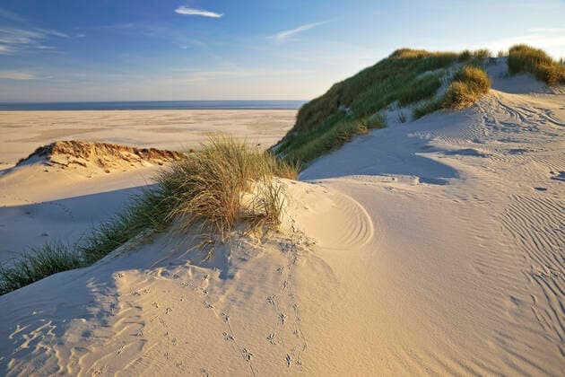 Creative Highlights World Duenen im Abendlicht mit Blick auf den Kniepsand und das Meer, Deutschland, Schleswig-Holstein, Nordfriesland, Amrum dunes in the evening light with a view of the Kniepsand and the North Sea, Germany, Schleswig-Holstein, Northern Frisia, Amrum BLWS648398 *** Dunes in the evening light with a view of the Kniepsand and the North Sea, Germany, Schleswig Holstein, Northern Frisia, Amrum BLWS648398 Copyright: xblickwinkel S.xZiesex