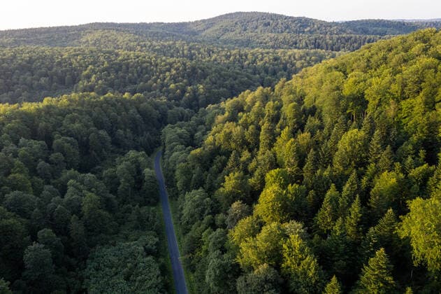 Deforestation Protest Continues Third Month In East Poland Arial view on Turnicki forest as environmental activists protest against deforestation on July 28, 2021 near Arlamow, Carpathian mountains, south-eastern Poland. The Wild Carpathian Initiative continues its occupational protest against deforestation of the Turnicki area of Carpathian mountains. The group have been blocking entrances to strategic paths of cutting crews since the end of April when the National Forest resumed large-scale forest cuts under the Forest Management Plan. Activists argue that this area should not operate under the Plan but rather become a National Park. The activists base their argument on the age of the forest (some trees are 300 years old) and the biod  Copyright: xDominikaxZarzyckax