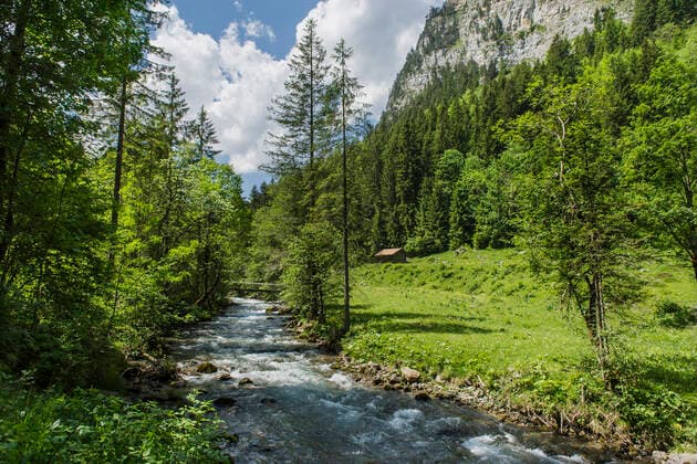 UNTERWEGS IM DIEMTIGTAL Der Fildrich auf der Höhe von Schwenden (Weid) am Donnerstag (12.06.14) in Diemtigen. Schweiz *** UNDERWAY IN THE DIEMTIG VALLEY The Fildrich at the height of Schwenden Weid on Thursday 12 06 14 in Diemtigen Switzerland  Copyright: Ex-PressxMarkusxFortex MFO20140612_003