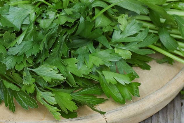 Hannover, Foodserie alte Gemüsesorten im Garten, Symbolfoto, Gemüse, Glatte Petersilie, schneiden, hacken, *** Hanover, food series old vegetables in the garden, symbol photo, vegetables, flat leaf parsley, cut, chop,
