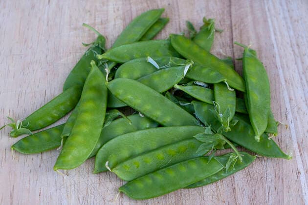 IMAGO Nature: Unsere Erde, Klimawandel, Ernährung, Pflanzen der Zukunft, Futtererbse Husk of snow peas (pisum sativum) Husk of purple flowers of snow peas ÒWeggisserÓ, heirloom variety, in a garden in spring Europe; Western Europe; France  Copyright: xMatarezo Andia.frx 383701